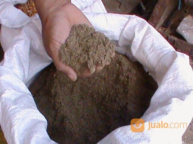 MBM Tepung Daging & Tulang Bahan Pakan Unggas / Penelitian