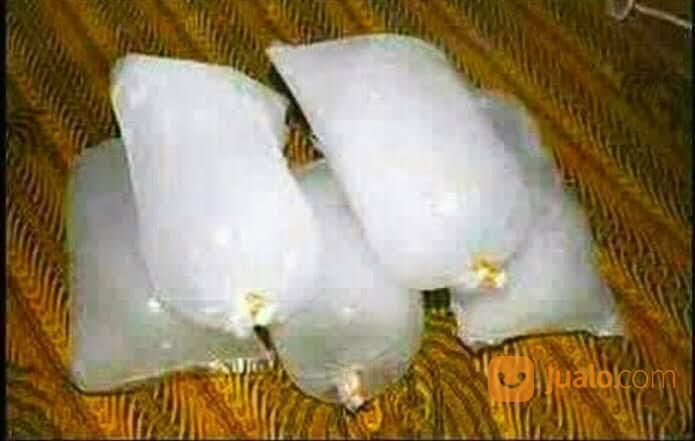 Siaap Terima Pesanan Es Batu Plastik 1Kg Rp. 1000 Minimal Order Rp. 5000,- Ayoo.. Buruan Habisss