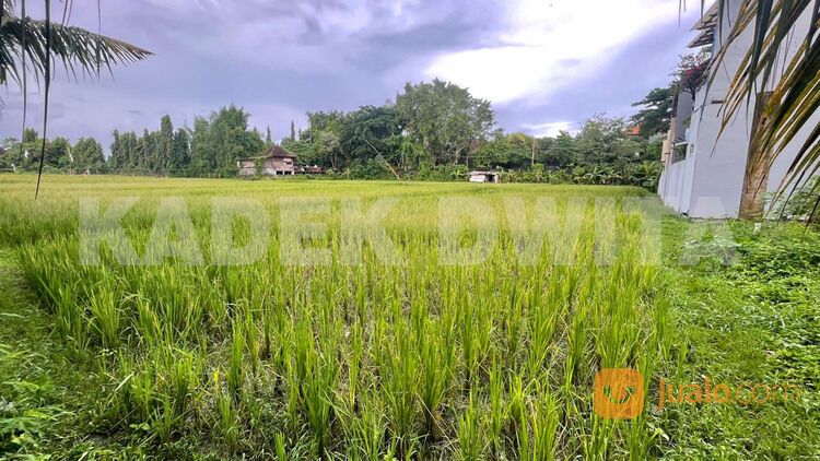 Tanah Murah Pasekan Batubulan Lingkungan Perumahan Lantai 2