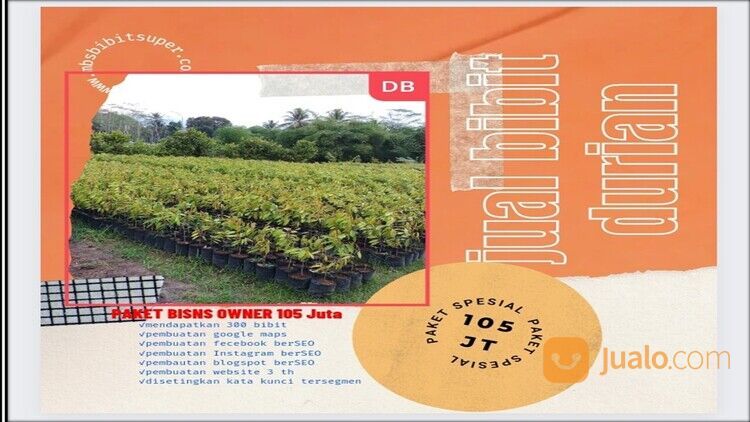 PASTI UNTUNG, WA 0812-2707-5809, Peluang Distributor Bibit Durian Aceh