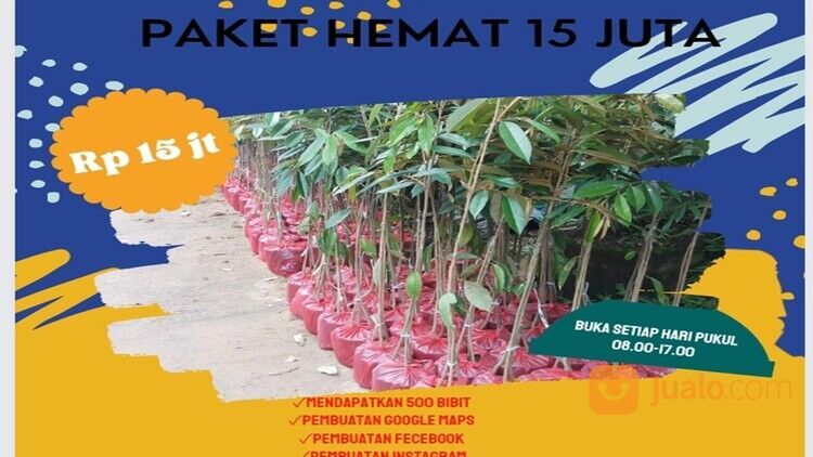 PASTI UNTUNG, WA 0812-2707-5809, Peluang Franchise Bibit Durian Aceh