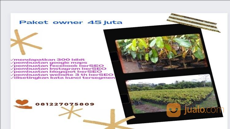 PASTI UNTUNG, WA 0812-2707-5809, Peluang Franchise Bibit Durian Aceh