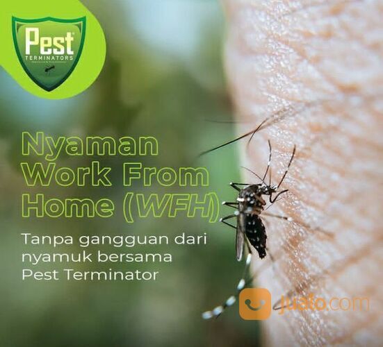Jasa Pest Control