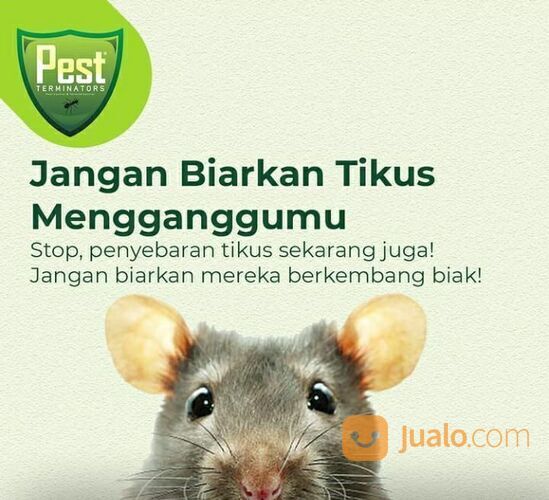 Jasa Pest Control