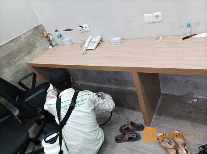Pest Control Jakarta