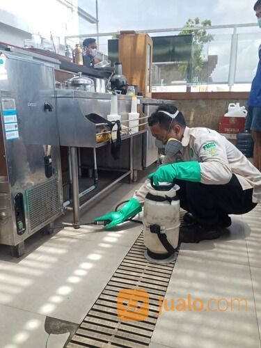 Jasa Pest Control Semarang