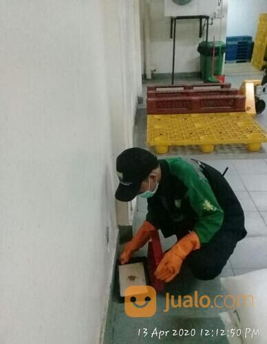 Jasa Pest Control Semarang