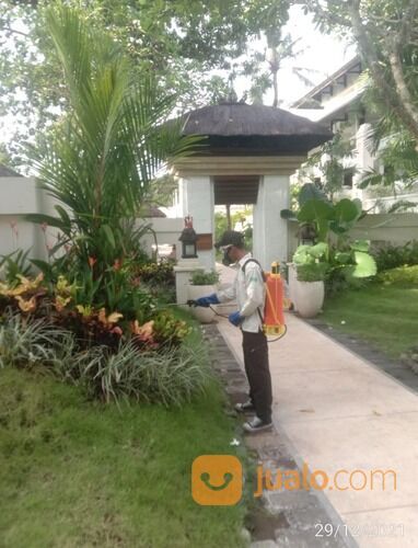 Jasa Pest Control Anti Rayap Bekasi