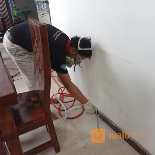 Jasa Pest Control Anti Rayap Bekasi