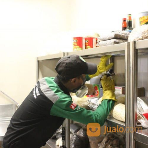 Jasa Pest Control Anti Rayap Bekasi