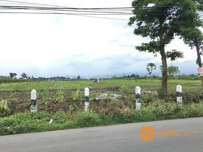 Tanah 4925 M2 Di Jalan Raya Bamban, Pakis, Malang