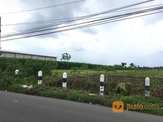 Tanah 4925 M2 Di Jalan Raya Bamban, Pakis, Malang