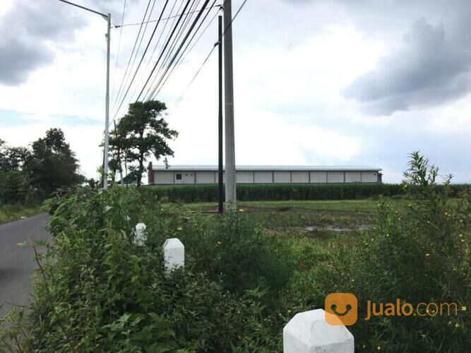 Tanah 4925 M2 Di Jalan Raya Bamban, Pakis, Malang