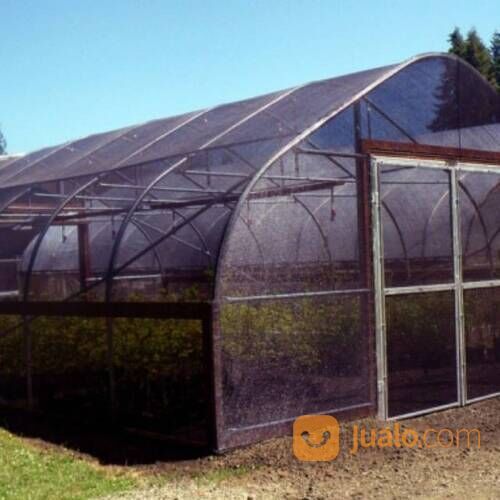 Paranet Lokal 65% Merk Dragon, Harga Murah Karna Diambil Langsung Dari Pabrik