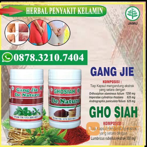 Obat Sipilis Paling Ampuh Di Apotik Indonesia 100% Bisa COD