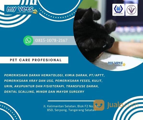 TERPERCAYA, CALL 0813-1015-8004, Klinik Hewan Terdekat, Klinik Hewan Jakarta, Klinik Hewan Terbaik