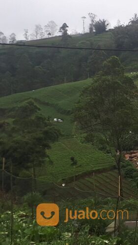 Tanah Luas Di Kabupaten Gowa Sulsel Siap Bangun Cocok Untuk Investasi