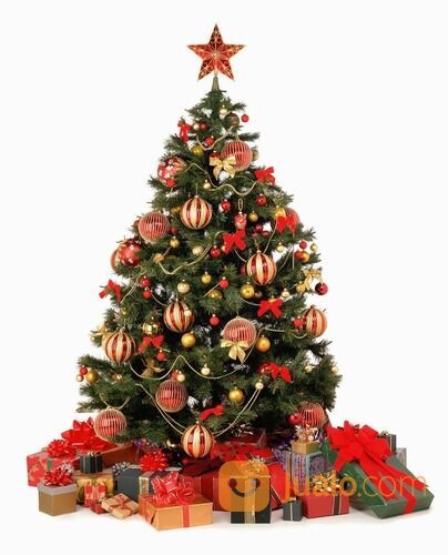Persewaan Pohon Natal / Sewa Pohon Natal Christmas Tree Rental Jakarta