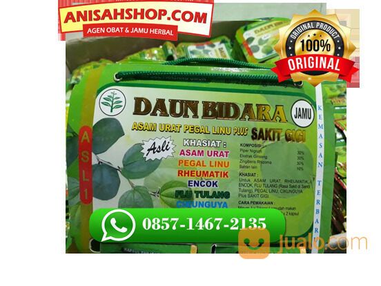 Kapsul Daun Bidara Asli