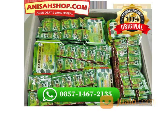 Kapsul Daun Bidara Asli