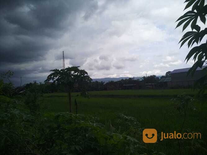 Tanah Utara Pasar Ngipik Banguntapan Yogyakarta(D.2569)