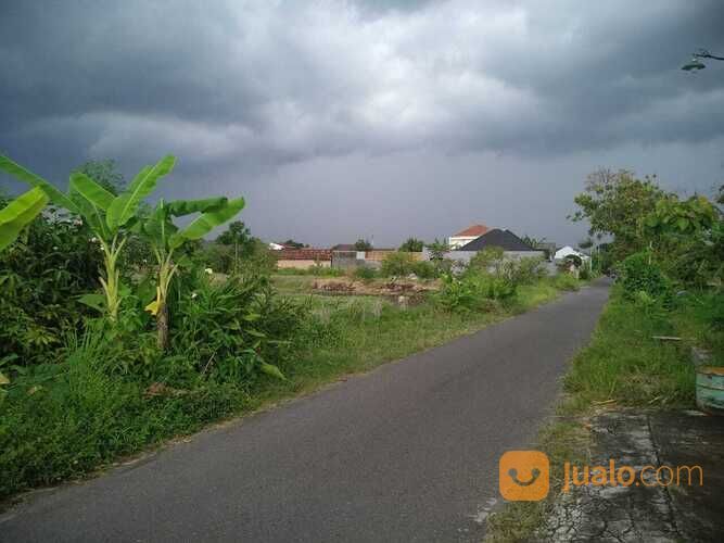 Tanah Utara Pasar Ngipik Banguntapan Yogyakarta(D.2569)
