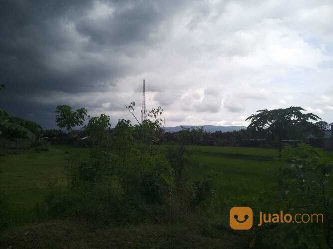 Tanah Utara Pasar Ngipik Banguntapan Yogyakarta(D.2569)