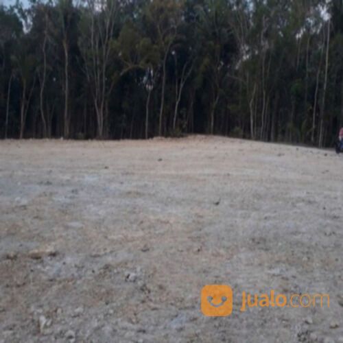 Investasi Tanah Murah Kali Kepek Wates