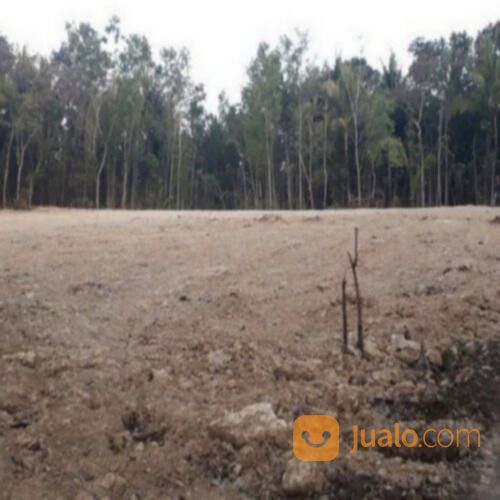 Investasi Tanah Murah Kali Kepek Wates