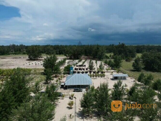 Tanah Hutan Laipori Sumba Timur