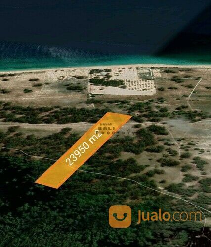 Tanah Hutan Laipori Sumba Timur