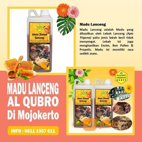 Manfaat Madu Klanceng Al Qubro Premium Di Mojokerto,