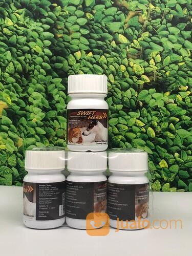 Vitamin Kucing Albumin