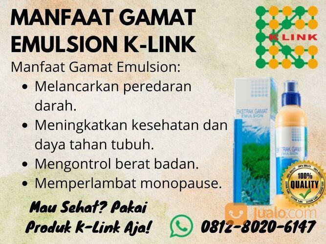 TERBAIK, Gamat Emulsion Untuk Ginjal Winata70