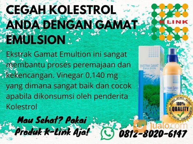 TERBAIK, Gamat Emulsion Untuk Ginjal Winata70