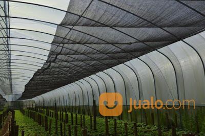 Paranet Jaring Peneduh 65 85 75 Harga Ekonomis