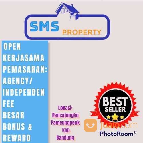 Lowongan Kerja Marketing Freelance maupun Full Time