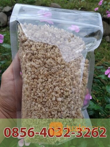 0856-4032-3262 Agen Nasi Tiwul Instan Oyek Beras Singkong Di Jatim