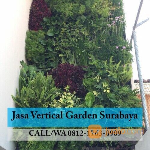 Ahli Vertical Garden Outdoor Asri di Surabaya Barat