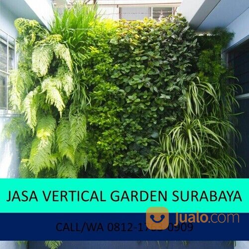 Ahli Vertical Garden Outdoor Asri di Surabaya Barat