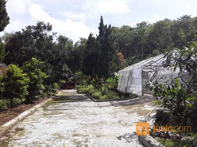 Rumah di Kampung Jayabakti ,Cidahu Sukabumi, Jawa Barat.