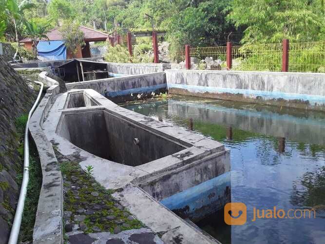 Rumah di Kampung Jayabakti ,Cidahu Sukabumi, Jawa Barat.