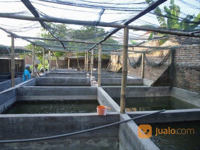 Paranet / Shadingnet / Jaring Peneduh / Jaring Paranet / Paranet Tanaman / Paranet Rumah