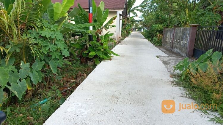 Tanah Murah di Jl. Purnama, Gg. Usaha Bersama 2, Pontianak