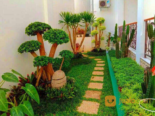 Jasa Pembuatan Taman dan Kolam Koi Jogja