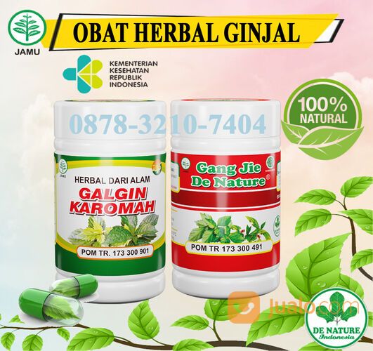 ORIGINAL DE NATURE OBAT BATU GINJAL OBAT HERBAL ALAMI