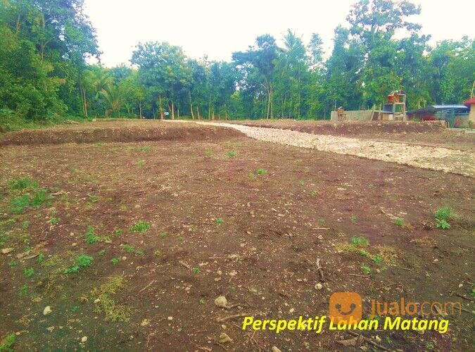 Tanah Murah Moyudan Sleman