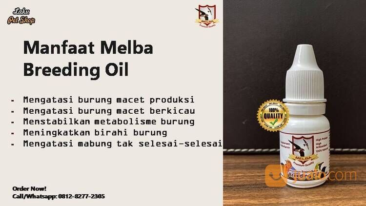 Vitamin Breeding untuk Burung