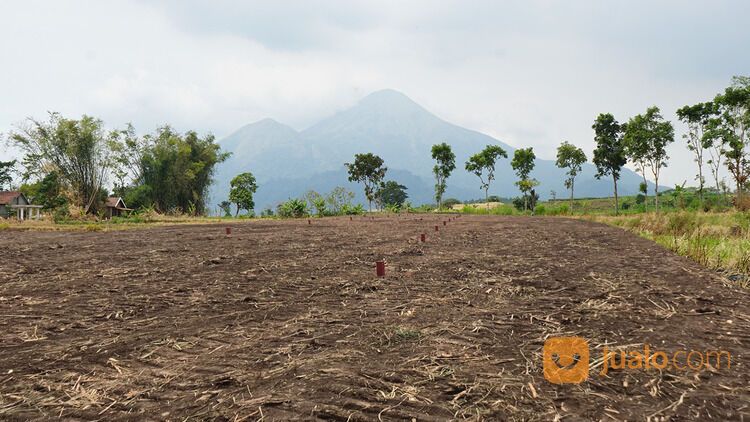 Tanah Murah Mojokerto View Gunung Penanggungan: 75 Jt-an