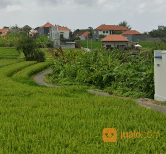 Tanah 8 Are, Jl. Pangkung Palu Subak Daksina Tibubeneng Canggu Kuta Utara